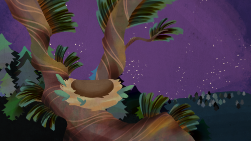 Nest at Night