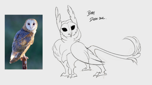 owl